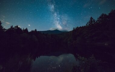 scenic view of forest during night time