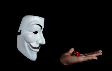 photo of guy fawkes mask with red flower on top on hand