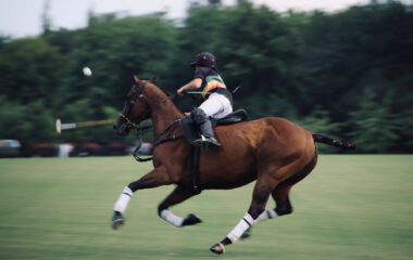 panning photo of person riding on horse