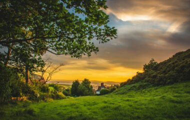 green trees under blue and orange sky during sunset