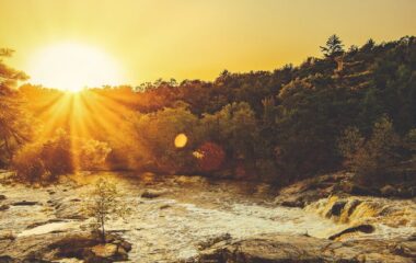 sunray through trees