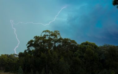 lightning above the green trees