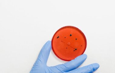 person holding petri dish