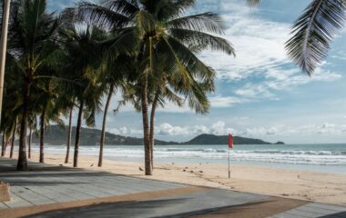 palm trees on sandy shore against foamy ocean