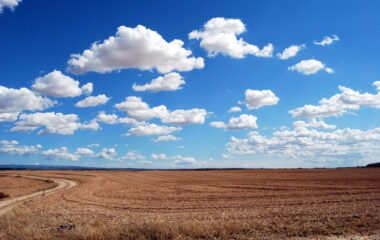 brown field and blue sky